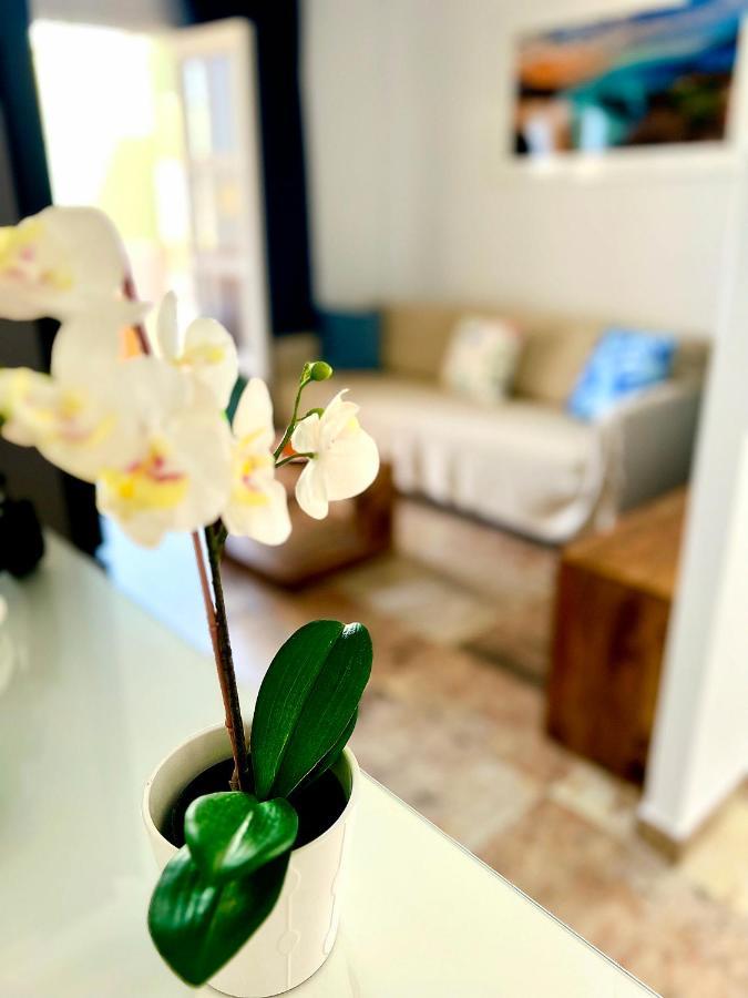Cosy, New Studio In Costa Adeje Exteriér fotografie